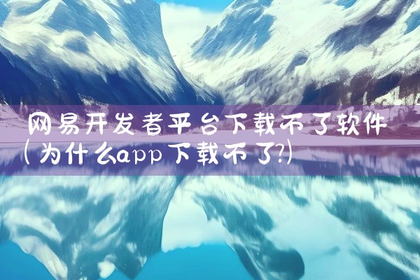 网易开发者平台下载不了软件