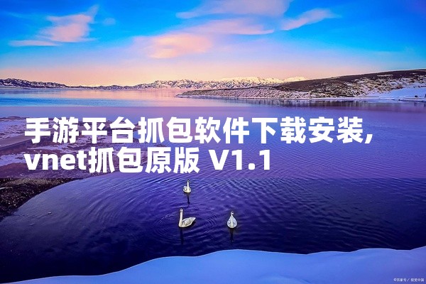 手游平台抓包软件下载安装