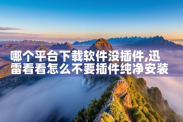 哪个平台下载软件没插件