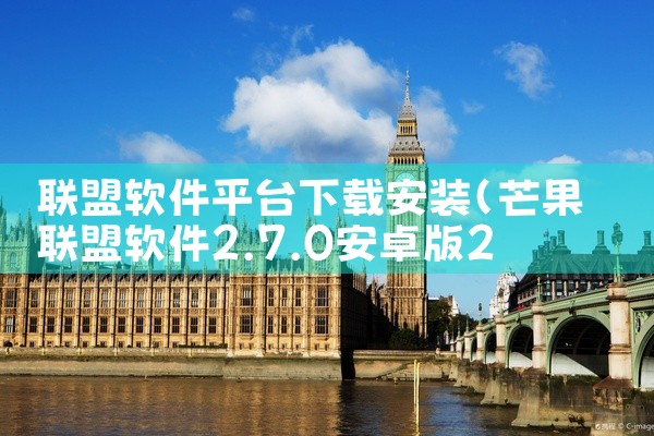 联盟软件平台下载安装