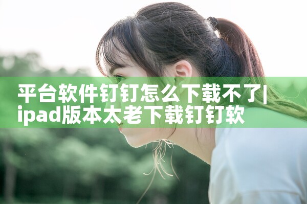 平台软件钉钉怎么下载不了