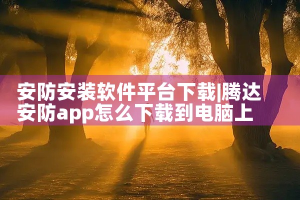 安防安装软件平台下载