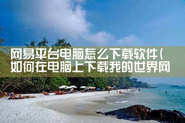 网易平台电脑怎么下载软件