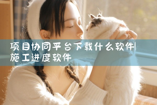 项目协同平台下载什么软件